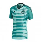 Spain Goalkeeper 2018 World Cup Green Soccer Jersey Shirt