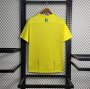 23/24 Al Nassr FC Home Yellow Ronaldo Soccer Jersey Football Shirt