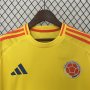 COPA AMERICA 2024 COLOMBIA HOME YELLOW SOCCER JERSEY FOOTBALL SHIRT