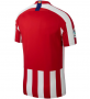 Atletico Madrid Home 2019-20 Soccer Jersey Shirt