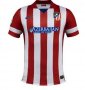13-14 Atletico Madrid #12 Alderweireld Home Soccer Jersey Shirt