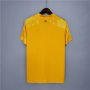 20-21 Wales Euro 2020 Soccer Jersey Away Yellow Football Shirt
