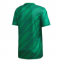 Northern Ireland 2020 Home Green Soccer Jersey Shirt