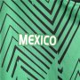2023 MEXICO GREEN SOCCER JERSEY FOOTBALL SHIRT
