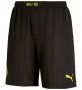 13-14 Borussia Dortmund Home UCL Whole Kit(Shirt+Short+Socks)