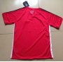 PSG 2014-2015 Training Shirt Red