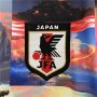 2024 Japan X Dragon Ball Edition Soccer Jersey Football Shirt