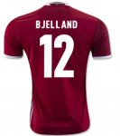 Denmark Home Euro 2016 BJELLAND #12 Soccer Jersey