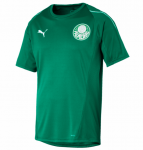 Palmeiras Green Training 2019/20 Soccer Jersey Shirt