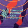 23/24 Liverpool Special Version Soccer Jersey Football Shirt