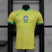 BRAZIL COPA AMERICA 2024 HOME SOCCER FOOTBALL SHIRT (AUTHENTIC VERSION)