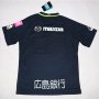Sanfrecce Hiroshima Home 2017/18 Soccer Jersey Shirt