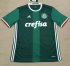 Palmeiras Home 2016/17 Soccer Jersey Shirt