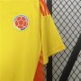 COPA AMERICA 2024 COLOMBIA HOME YELLOW SOCCER JERSEY FOOTBALL SHIRT