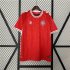 UEFA Euro 2024 Denmark Football Shirt Home Soccer Jersey