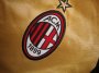 13-14 AC Milan Away Golden Jersey Shirt