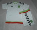 Kids Mexico 2015-16 Away Soccer Kit(Shorts+Shirt)