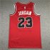 CHICAGO BULLS RED JERSEY MICHAEL JORDAN #23