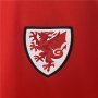 UEFA Euro 2024 Wales Football Shirt Home Soccer Jersey