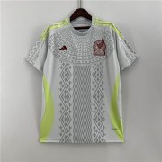 23/24 MEXICO GREY SOCCER JERSEY FOOTBALL SHIRT