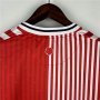 Southampton 23/24 Home White Soccer Shirt Football shirt