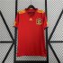Spain 2010 Home Red Soccer Jersey Retro Football Shirt