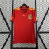 Spain 2010 Home Retro Shirt