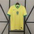 BRAZIL COPA AMERICA 2024 HOME YELLOW SOCCER JERSEY FOOTBALL SHIRT