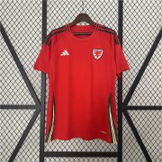 UEFA Euro 2024 Wales Football Shirt Home Soccer Jersey