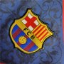 Barcelona FC 23/24 Soccer Jersey Football Shirt (Special Version)
