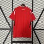 UEFA Euro 2024 Hungary Home Red Soccer Jersey Football Shirt