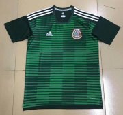 Mexico 2018 World Cup Green Training Jersey