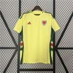 UEFA Euro 2024 Wales Football Shirt Away Soccer Jersey