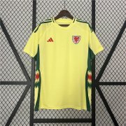 UEFA Euro 2024 Wales Football Shirt Away Soccer Jersey