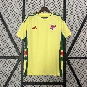 UEFA Euro 2024 Wales Football Shirt Away Soccer Jersey