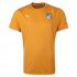 2014 FIFA World Cup Ivory Coast Home Soccer Jersey Football Shirt