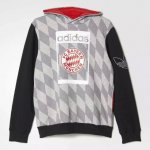 Bayern Munich 2015-16 Fleece Hoodies Grey