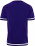 RSC Anderlecht 2015-16 Home Soccer Jersey