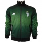 Juventus 2017/18 Green Jacket