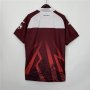 Torino 23/24 Special Edition Soccer Jersey Football Shirt