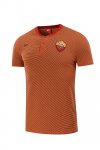 Roma 2017/18 Brown Streak Polo Shirt