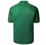 Ireland 19-20 Green Soccer Jersey Shirt