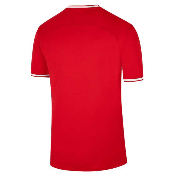 Poland World Cup 2022 Soccer Jersey Away Red Football Shirt - Click Image to Close