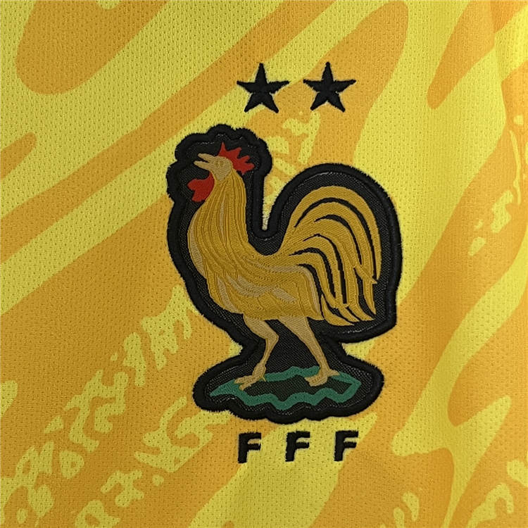 UEFA Euro 2024 France Goalkeeper Football Shirt Soccer Jersey - Click Image to Close