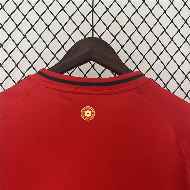 UEFA Euro 2024 Wales Football Shirt Home Soccer Jersey - Click Image to Close