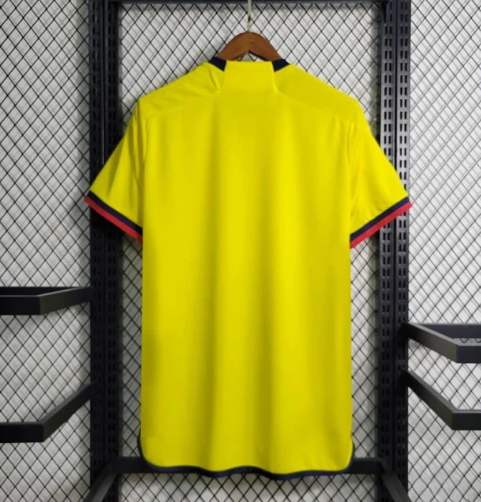 23/24 COLOMBIA SPECIAL EDITION SOCCER JERSEY FOOTBALL SHIRT - Click Image to Close