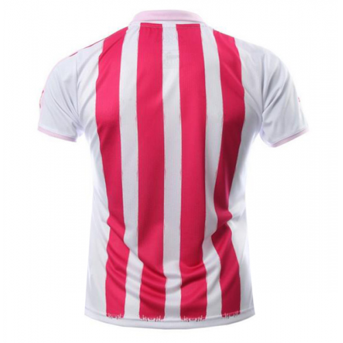 Monterrey Special Pink 2016/17 Soccer Jersey Shirt