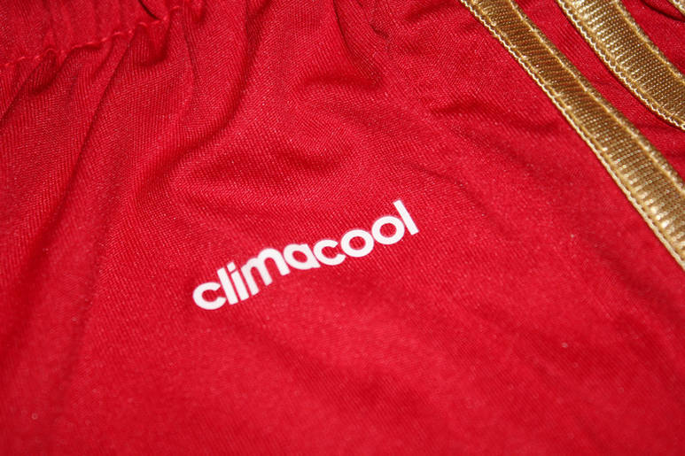 2014 FIFA World Cup Spain Home Soccer Shorts - Click Image to Close